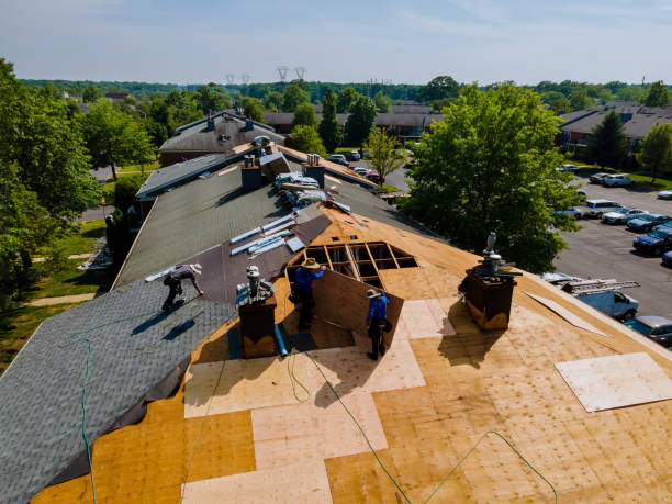 Quick and Trustworthy Emergency Roof Repair Services in Diboll, TX