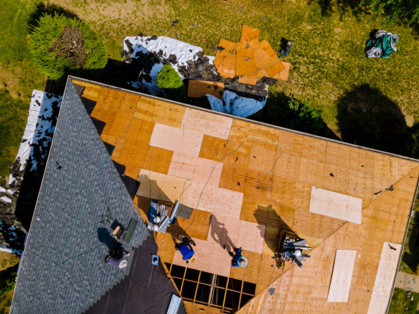 Best Storm Damage Roof Repair  in Diboll, TX