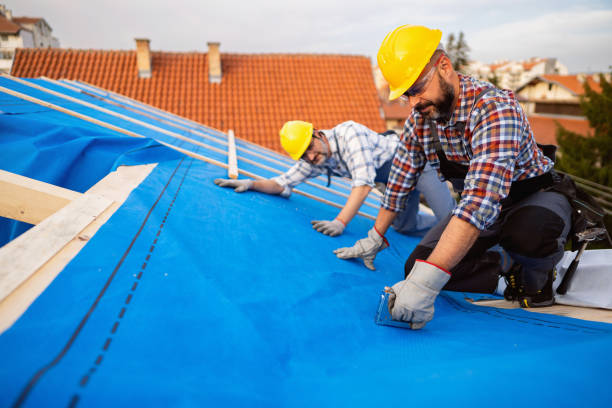 Roof Gutter Cleaning in Diboll, TX